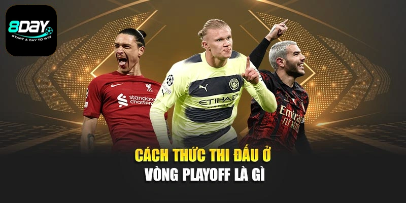 Cách thức thi đấu ở vòng Playoff là gì