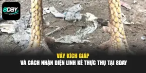 Vảy Kích Giáp Và Cách Nhận Diện Linh Kê Thực Thụ Tại 8day